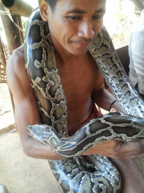 20150425_1333319_snake.jpg